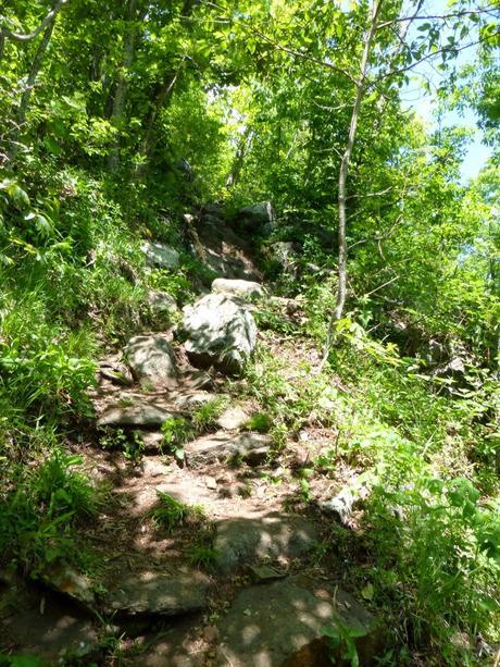 Day 40: Hikin' Thru It Day 40: Hikin' Thru It