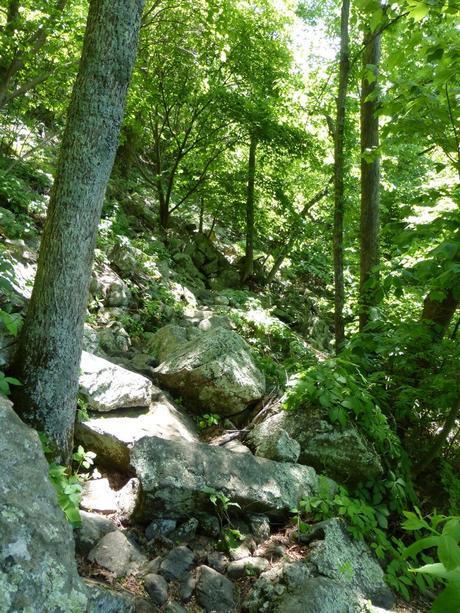 Day 40: Hikin' Thru It Day 40: Hikin' Thru It