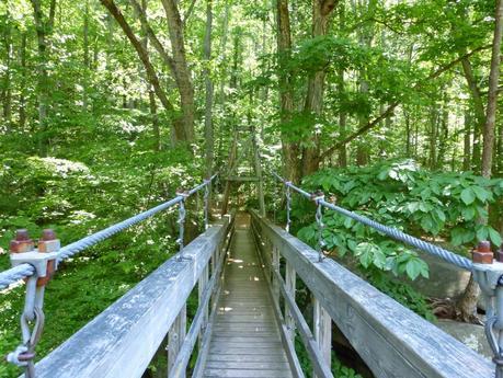 Day 40: Hikin' Thru It Day 40: Hikin' Thru It