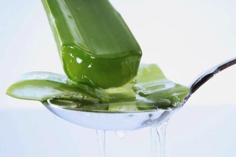 Aloe Vera Juice weight loss