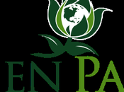 Green Party: U.S. Violates Asimov's Laws Robotics"