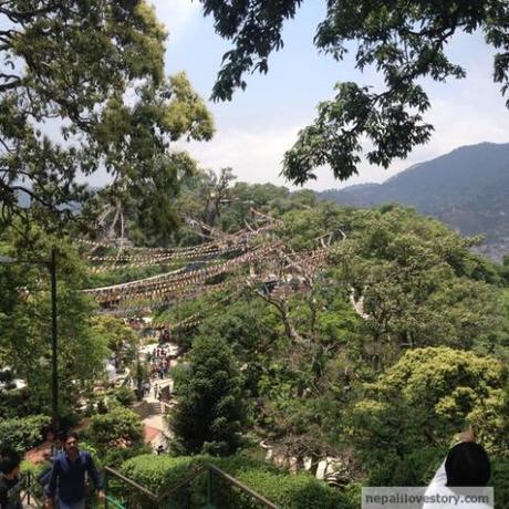 swayambunath view