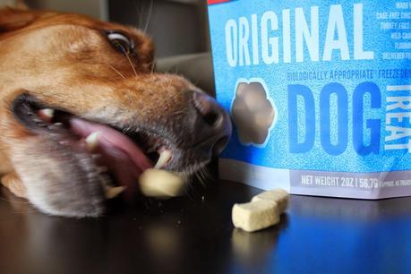 Orijen's Freeze Dried Dog Treats Review
