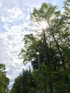 Weekend Recap photo 1