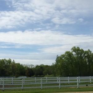 Weekend Recap photo 3