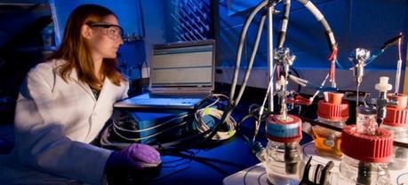 Allison Speers, MSU graduate student, works on a fuel cell that can eliminate biodiesel producers' hazardous wastes and dependence on fossil fuels