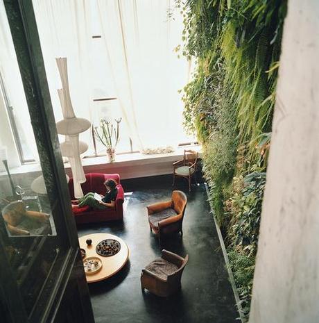 An aerial view of the living room's living wall. 