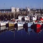 Digby Scallop Fleet