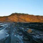 Joggins Fossil Cliffs