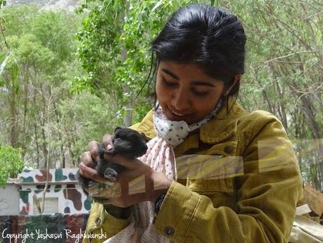 This is Heaven. Well, Only If You Are Strong Enough. This is Heaven. Well, Only If You Are Strong Enough.