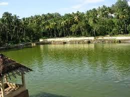 Vintage Wall of the Nedumpuram Palace