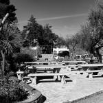 Getting Ready For the Season IMG_1528_Snapseed