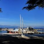 Getting Ready For the Season IMG_1521_Snapseed