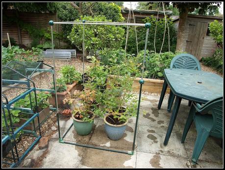 Hurry up with those nets!