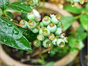 Hurry with Those Nets!