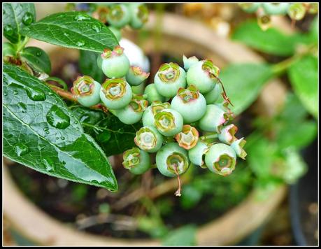 Hurry up with those nets!
