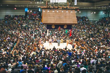 Chasing Cherry Blossoms in Japan - Osaka