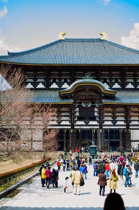Chasing Cherry Blossoms in Japan - Osaka
