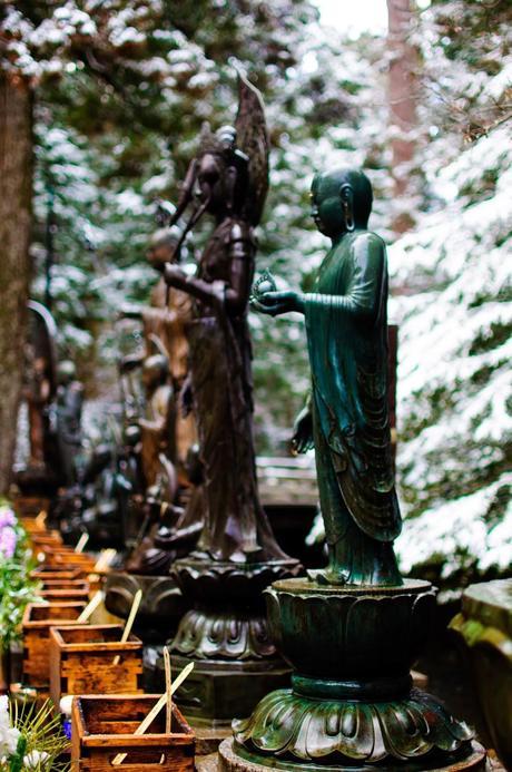 Chasing Cherry Blossoms in Japan - Osaka