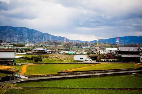 Chasing Cherry Blossoms in Japan - Osaka