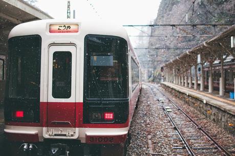 Chasing Cherry Blossoms in Japan - Osaka