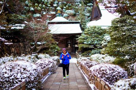 Chasing Cherry Blossoms in Japan - Osaka