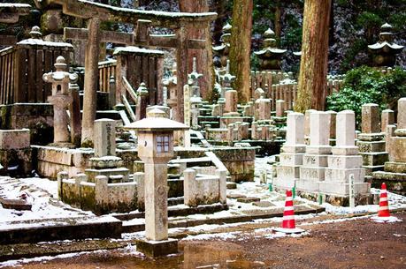 Chasing Cherry Blossoms in Japan - Osaka