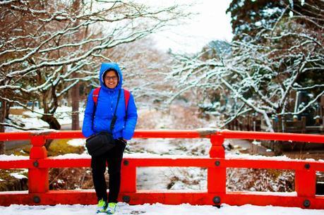 Chasing Cherry Blossoms in Japan - Osaka