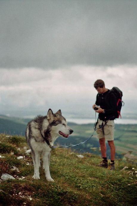 Hiking with Your Dog