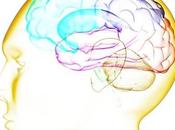 Gain Clarity About Transparent Brain: Expect Labs Barcelona!