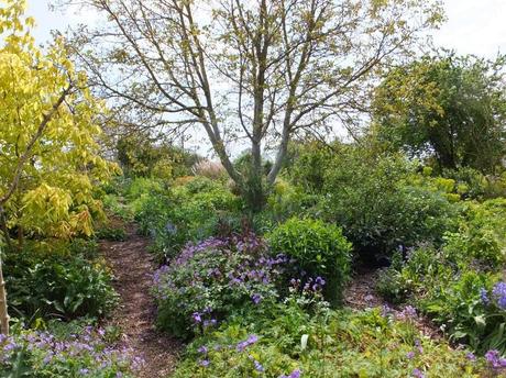 Cotswold Garden Flowers