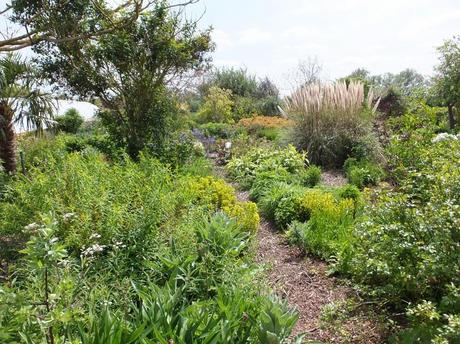 Cotswold Garden Flowers