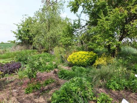 Cotswold Garden Flowers