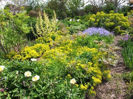 Cotswold Garden Flowers