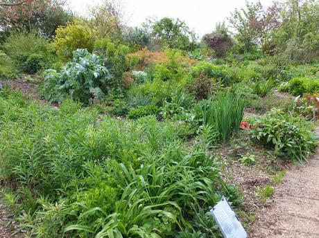 Cotswold Garden Flowers