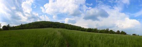 Day 42: Entering Shenandoah National Park Day 42: Entering Shenandoah National Park