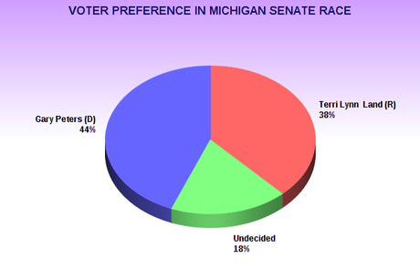 Democrat Leads In Michigan Race For U.S. Senate