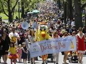 Thousands Flock Friends 2014 Duckling Event