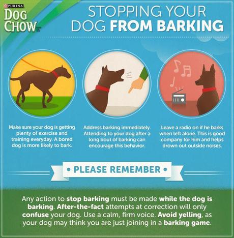 Reason Behind Dog Excessive Barking