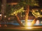 Stay: Miracle Springs Desert California Local Attractions