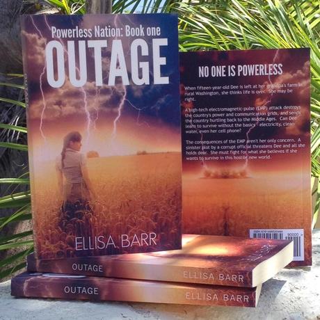 Outage: Guest Post from Ellisa Barr