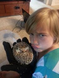 On Hedgehogs and Happiness