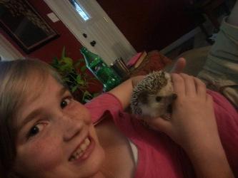 On Hedgehogs and Happiness