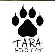 Tara logo