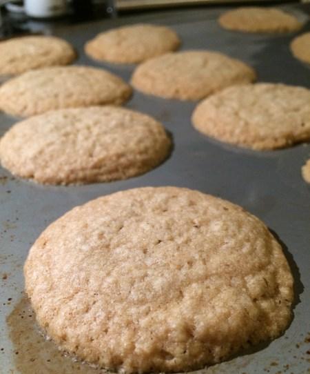 danish oatmeal cookies dessert