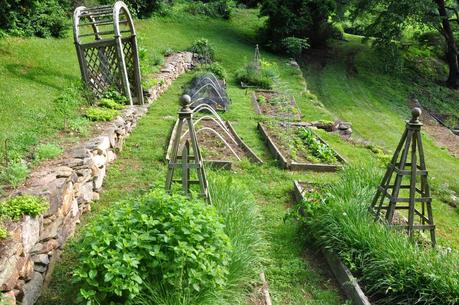 A Week later in the Garden