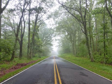 Day 43: A Day Of Rain & Fog