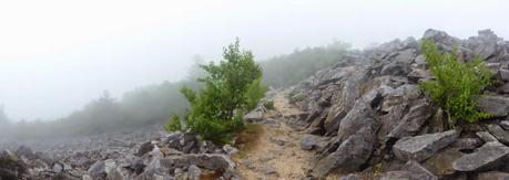 Day 43: A Day Of Rain & Fog