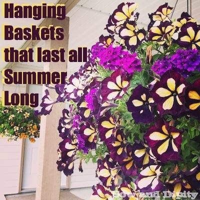 Hanging baskets that last