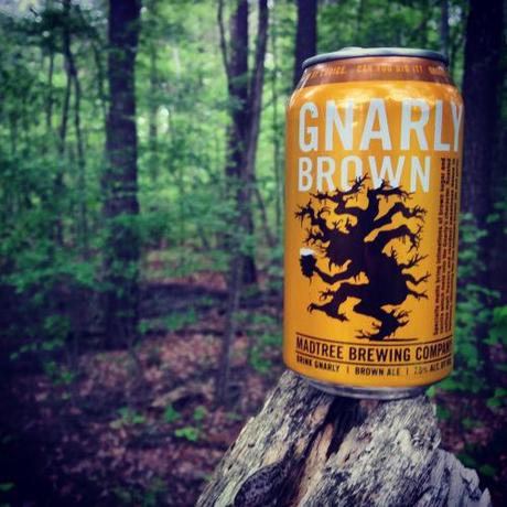 madtree-madtree brewing-gnarly brown-forest-tree-beer-beertography-2